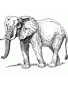 Elefant Motivstempel