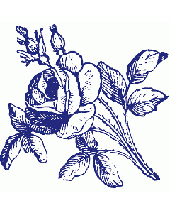 Rosenblüte Stempel
