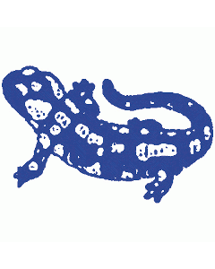 Salamander Stempel