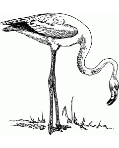 Motivstempel Flamingo