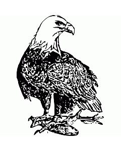 Adler Motivstempel