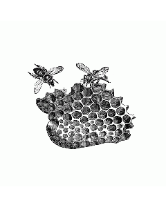 Bienenwabe Motivstempel