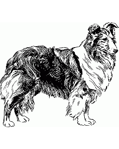 Collie Motivstempel