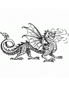 Drache Motivstempel