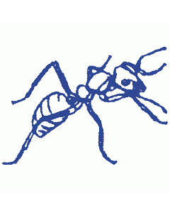 Motivstempel Ameise
