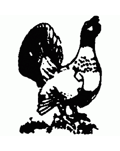 Auerhahn Stempel