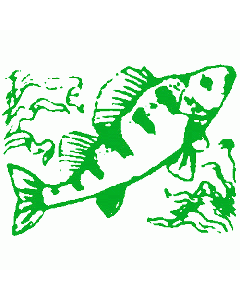 Motivstempel Barsch