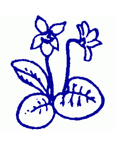Motivstempel Veilchen
