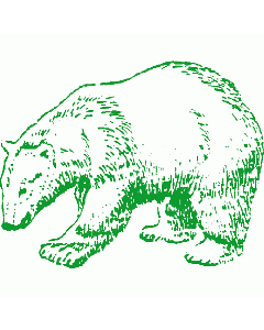 Motivstempel Braunbär