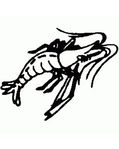 Motivstempel Hummer