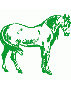 Motivstempel Hengst
