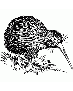 Kiwi Motivstempel