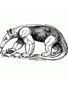 Motivstempel Ameisenbär