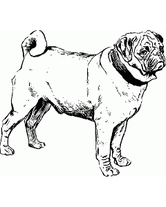 Motivstempel Französische Bulldogge