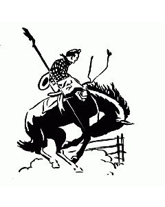 Rodeo Cowboy Motivstempel